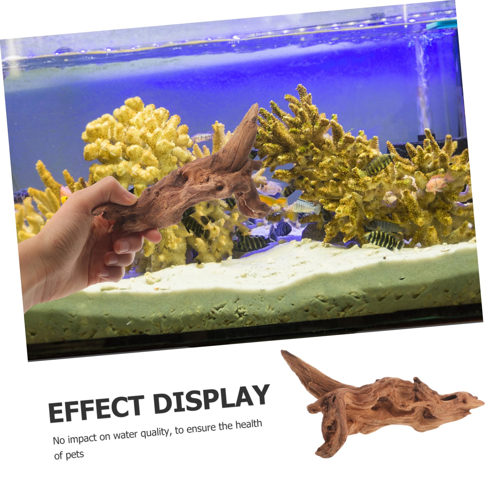 Amazon | VORCOOL 水族館の沈んだ木 テラリウムの木 水族館の